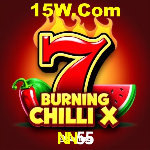 NN55 Salvador - Strategies